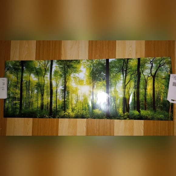 3 Huge Posters (55" x 39") + 1 reversible large + 1 reversible small - Picture 8 of 14